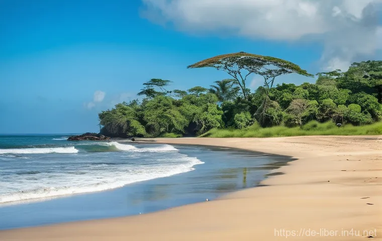 라이베리아에서 취업할 수 있는 직업군 - **"Sustainable Agriculture and Thriving Rural Communities in Liberia"**: A picturesque and dynamic r...